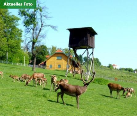 Appartamento Kuca Za Odmor Slamek Sa Saunom Sveti Martin Na Muri Esterno foto